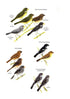 Birds of Trinidad & Tobago, 3rd Ed. - Kenefick 2019